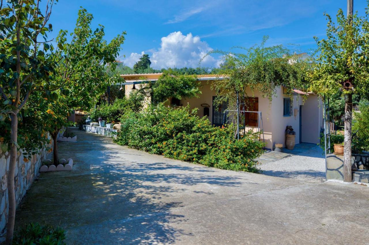 Вилла The Olive House Kondomarion Экстерьер фото
